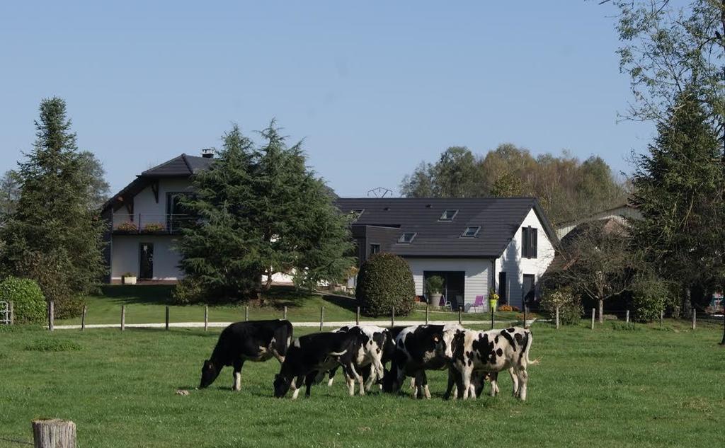 La Noue Aubain Bed & Breakfast Corbenay ภายนอก รูปภาพ